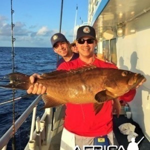 Big Broomtail Scamp Grouper, Dry Totugas