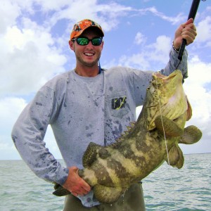 Florida gulf Goliath grouper