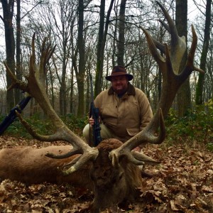 Red Stag in Austria