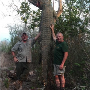 Nice Crocodile from the Rufiji River