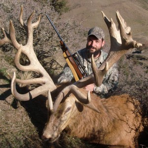 Son's New Zealand Stag