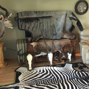 Trophies from 2014 Safari hunt with Limcroma