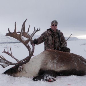 Mountain Caribou