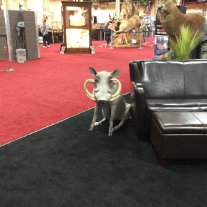 Taxidermy at Safari Club International Convention