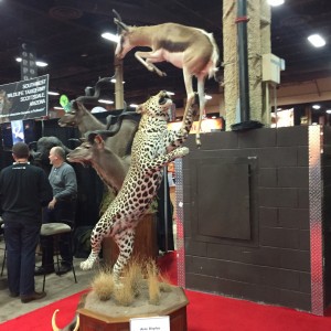 Taxidermy at Safari Club International Convention