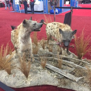 Taxidermy at Safari Club International Convention