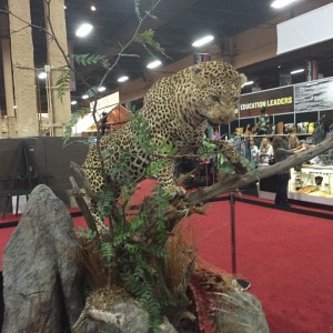 Taxidermy at Safari Club International Convention