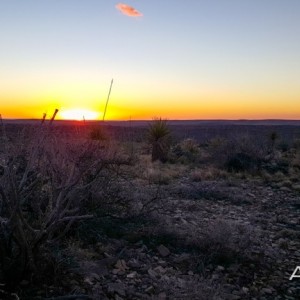 First Morning in New Mexico