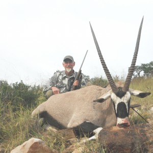 Gemsbok