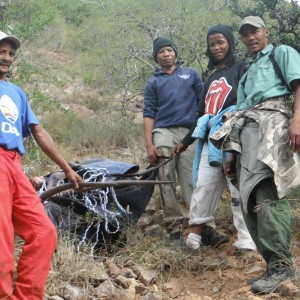 Gemsbok recovery