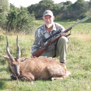 Bushbuck