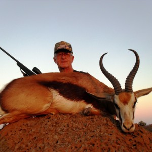 Springbok