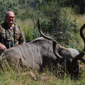 Greater Kudu