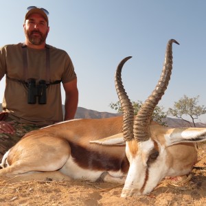 Springbok