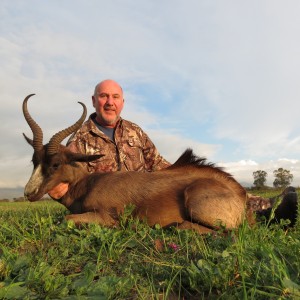 Black Springbuck