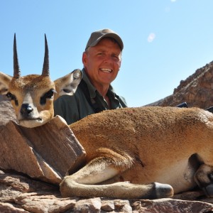 Klipspringer