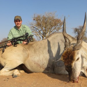 Eland hunted at Limcroma Safaris