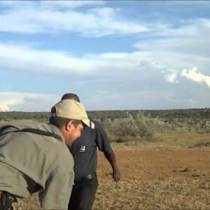 .416 Ruger recoil on one of our trackers