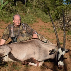 Gemsbok