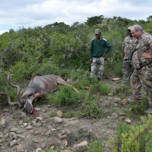 Kudu