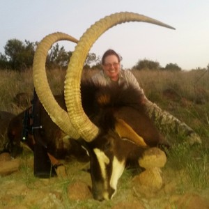 46 inch Sable with White lion safaris