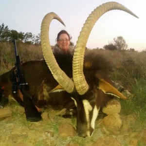 46 inch Sable hunted with White Lion Safaris