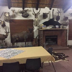 Safaris Trophy room