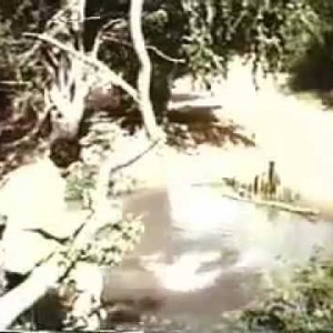 Howard Hill Crocodile Hunt