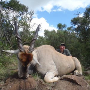 Eland with John X Safaris