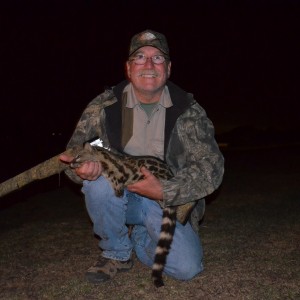 Large Spotted Genet