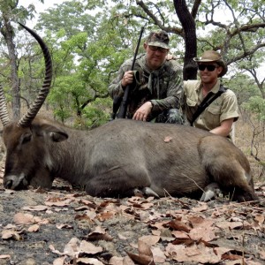 Waterbuck