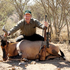 Red Hartebeest