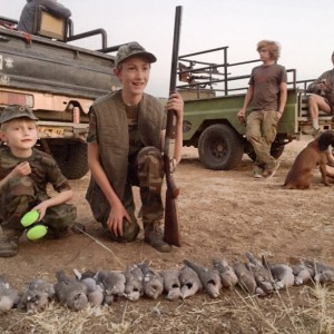 Dove Hunt