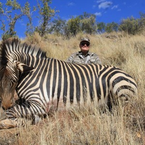 Zebra