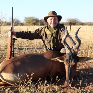 Red Hartebeest