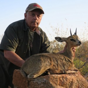 Klipspringer Namibia