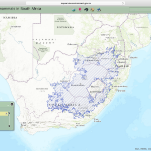 Black Wildebeest Distribution Map South Africa