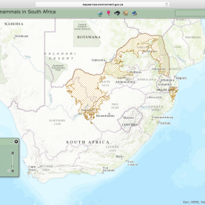 Tsessebe Distribution Map South Africa