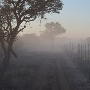 Kalahari Sunrise