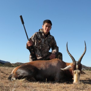 Jonathan's Blesbok at Huntershill Safaris