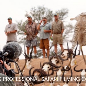 Safari Filming