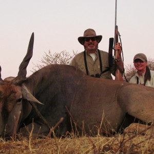 Cape Eland Namibia