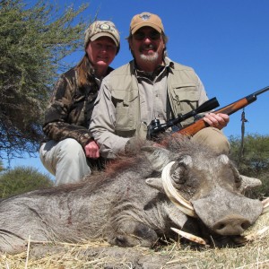 Warthog Namibia