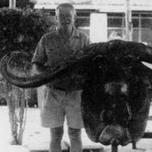 Record Buffalo