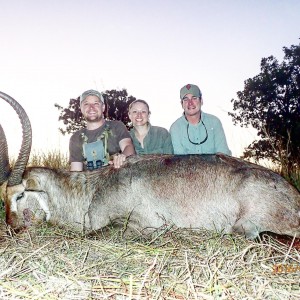 Mokore Safaris:  Waterbuck