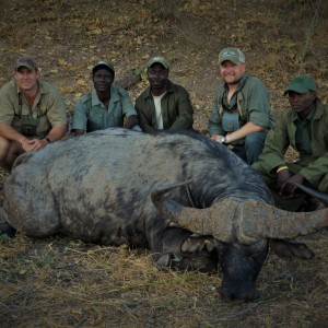 Mokore Safaris:  Cape Buffalo