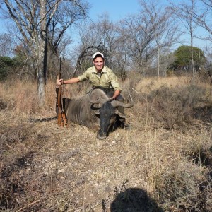 Africa 2011, Blue Wildebeest