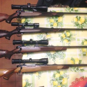 My beloved rifles..