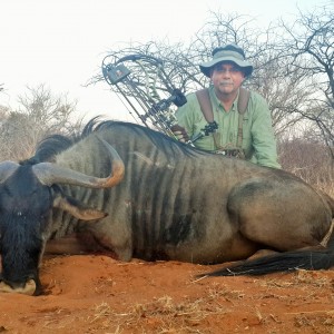 Limcroma Safaris archery blue wildebeest