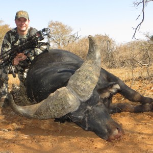 Cape Buffalo with Limcroma Safaris